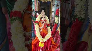 Sri Venkateshwara swamy kalyanam trendreposttrendingreelshappyexplorelike [upl. by Arahsit494]