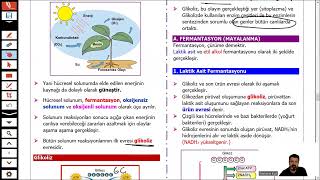 ENERJİ DÖNÜŞÜMLERİ FERMANTASYON [upl. by Emmett]