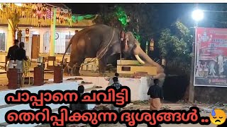 പാപ്പാനെ ചവിട്ടി ഓടിക്കുന്ന ദൃശ്യങ്ങൾelephant [upl. by Mireielle]