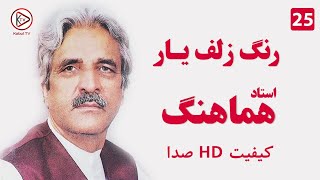 دل شده یک کاسه خون استاد هماهنگ  آهنگ قدیمی افغانی  Ustad Hamahang Del Shoda yak kasa e khon [upl. by Ivana325]