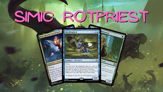 Simic Rotpriest  Magic The Gathering  Bloomburrow  MTG Pioneer [upl. by Schlicher731]