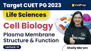 Plasma Membrane Structure amp Function  Cell Biology  CUET PG Life Sciences VedPrep Biology Academy [upl. by Pelson]