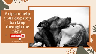 How to Stop Your Dog from Barking at Night dogtraining quietnights calmdog dogcare doglovers [upl. by Nosimaj]