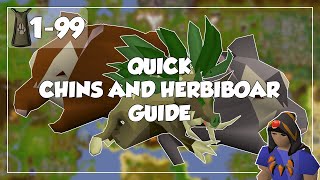 Quick Chinchompa and Herbiboar Guide  Old School Runescape [upl. by Arihsan561]