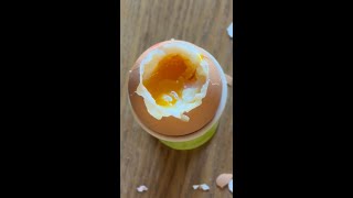 Soft boiled egg from room temperature 7 minutes in a halogen oven [upl. by Aihsenad]