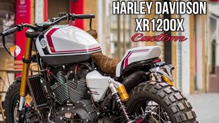 Custom Harley Davidson XR1200X by Macco Motors [upl. by Donnamarie973]