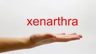 How to Pronounce xenarthra  American English [upl. by Pietrek]