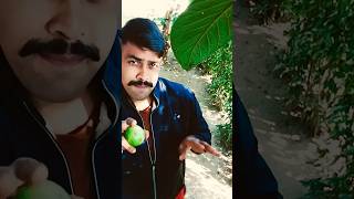 🦜 egire chilakamma powerstarpawankalyan bangaram bangaramlove trendingshorts Masoomshaik786 [upl. by Nutter]