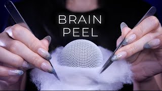 ASMR Giving You a Brain Peel  Mic Scratching Sticky Brain Massage Triggers No Talking [upl. by Darya]