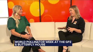 It’s World Pollinator Week [upl. by Chet]