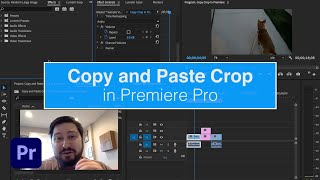 Copy and Paste Crop in Premiere Pro [upl. by Aydne]