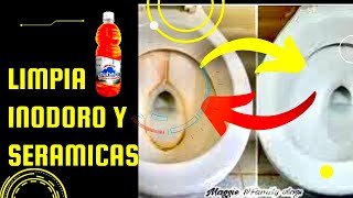 COMO HACER LIMPIA INODOROS CERAMICAS PASO A PASO [upl. by Traweek]