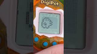 Digipet [upl. by Assillem]