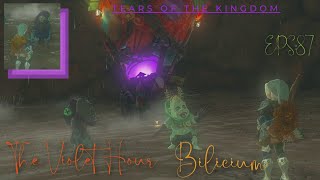 Kilton amp Koltin Monsterous Brothers in Tears of the Kingdom EPS87 [upl. by Nnewg747]