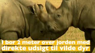 Overnat blandt VILDE dyr i Knuthenborg Safaripark [upl. by Rehtnug]