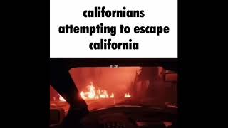 Californians attempting to escape California [upl. by Ueihttam424]