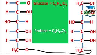 L2  Carbohydrates  Oligosaccharides  ch14  10th Chemistry [upl. by Airotkciv]