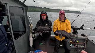 Homer Alaska Fishing 9 24 2024 [upl. by Ahseet]