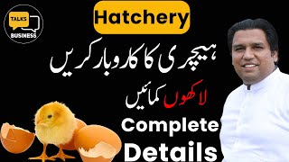 How to Start a Hatchery Business in Pakistan  Complete StepbyStep Guide [upl. by Aneleairam]