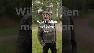 🌿 Wildplukken met Johan  Deel 1🌿 [upl. by Oahc]