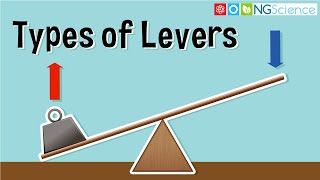 Types of Levers [upl. by Adham367]