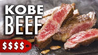 I Tried Kobe Beef for the First Time  A5 Japanese Wagyu [upl. by Ahsemrak]