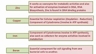 Nutritional Requirements of Bacterial Cell [upl. by Nylannej]