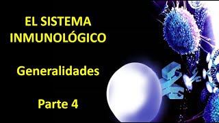 Sistema inmune generalidades Video 4 [upl. by Jarid]