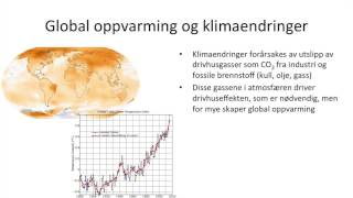 Samfunnsfag  Økonomisk vekst og bærekraftig utvikling [upl. by Novled874]