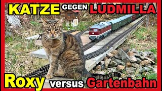 KATZE ROXY und die LUDMILLA Mieze wird von der GartenbahnGroßdiesellok Baureihe 132 verscheucht [upl. by Olinad]