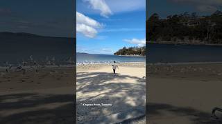 Kington Beach Tasmania [upl. by Stein118]