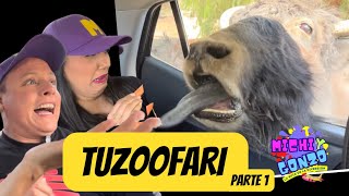 Visitamos TUZOOFARI  parte 1 [upl. by Atinram]