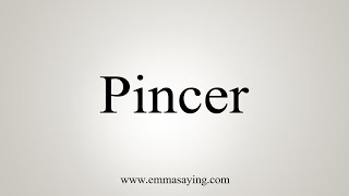 How To Say Pincer [upl. by Blynn]