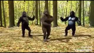 Gorilla dance Gunna mamidi [upl. by Alisander379]