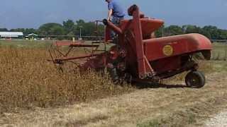 Antique Self Propelled Combines Harvesting Soybeans [upl. by Johm]