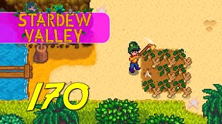 Stardew Valley 16  Lets Play Ep 170 [upl. by Ettenauq]