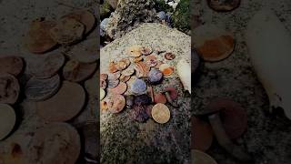 A Hoard of Coins found Mudlarking The Thames mudlarking Happy Labor Day [upl. by Harding]