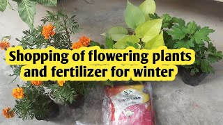 Shopping of flowering plants and fertilizer at reasonable price for winter garden [upl. by Aramoj]