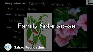 Solanaceae Biology Lecture  Sabaqpk [upl. by Prosser]