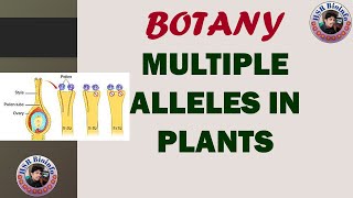 MULTIPLE ALLELES IN PLANTS  BOTANY  GENETICS  HSR BIOINFO  B SC BOTNAY [upl. by Smiga]