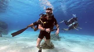 Scuba Diving in Sharm El Sheikh  May 2019 [upl. by Noseimaj]