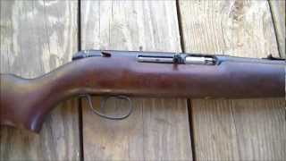 Remington 5501 a quick look at a fine 22 rifle [upl. by Car]