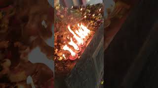 Karthika Deepam shorts ytshorts trendingshorts [upl. by Sicnarf]