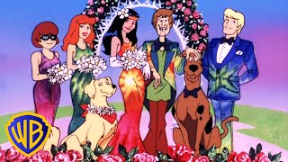 ScoobyDoo Movies en Latino  Ita Groovy 🌼  WBKidsLatino [upl. by Ayota]