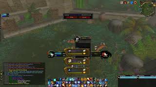 swift zulian tiger wotlk classic drop [upl. by Assinna]