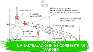 Distillazione in corrente di vapore [upl. by Fabron]