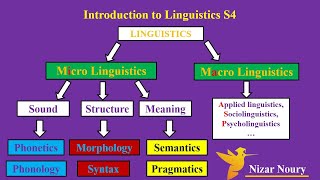 introduction to linguistics S4 English Studies university BA Degree Bachelor [upl. by Donnelly]