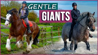 Gentle Giants  AwardWinning Film  Meet Amazing Draft Horses [upl. by Weasner186]