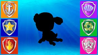 PAW Patrol Aqua pups  Match the right shadow [upl. by Evelinn]