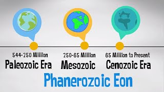 Phanerozoic Eon  Geologic Time Scale with events [upl. by Aihsenad]